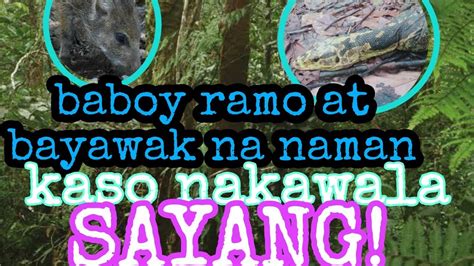 di kinaya sa laki ng titi|DASS.